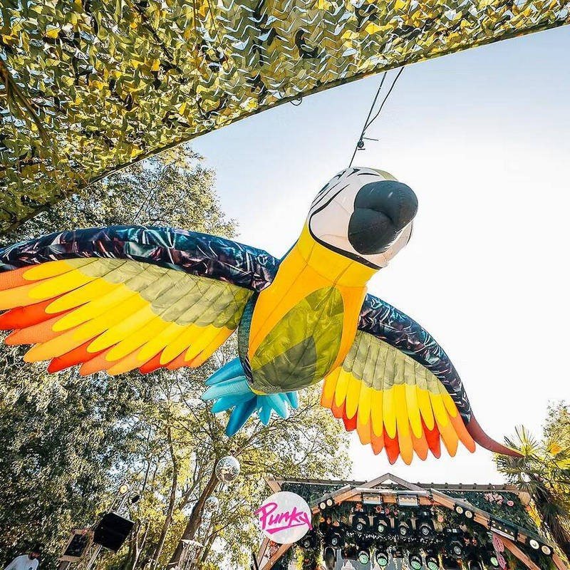 Inflatable flying animals (5)